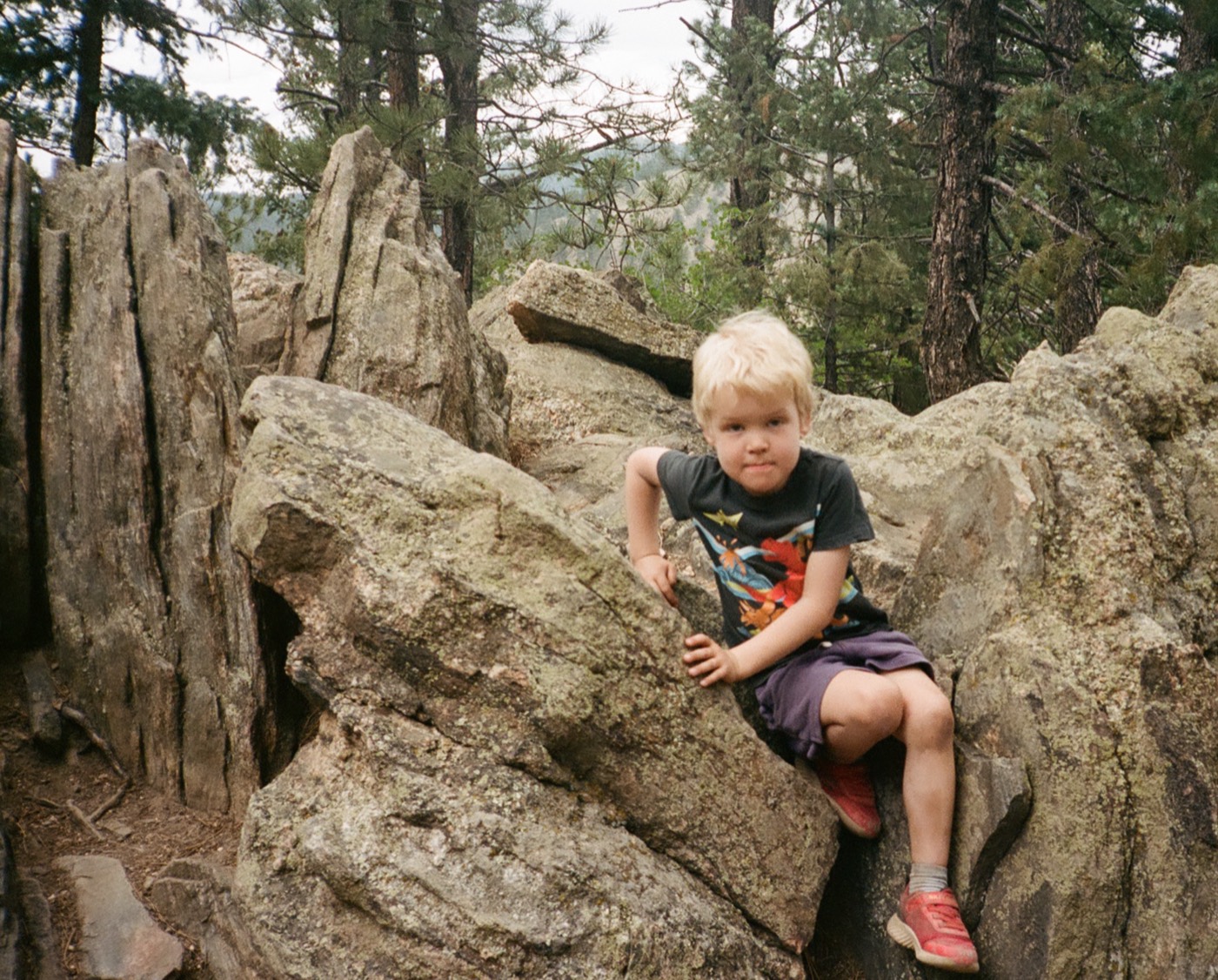 Bryce sitting up on a jumble of granite boulders in a pine forest