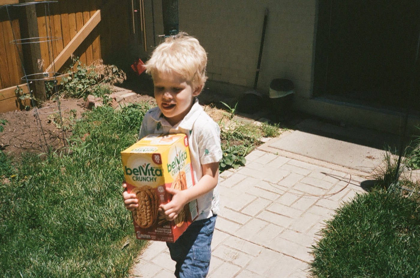 Bryce hauling a big box of snacks across the backyard walkway