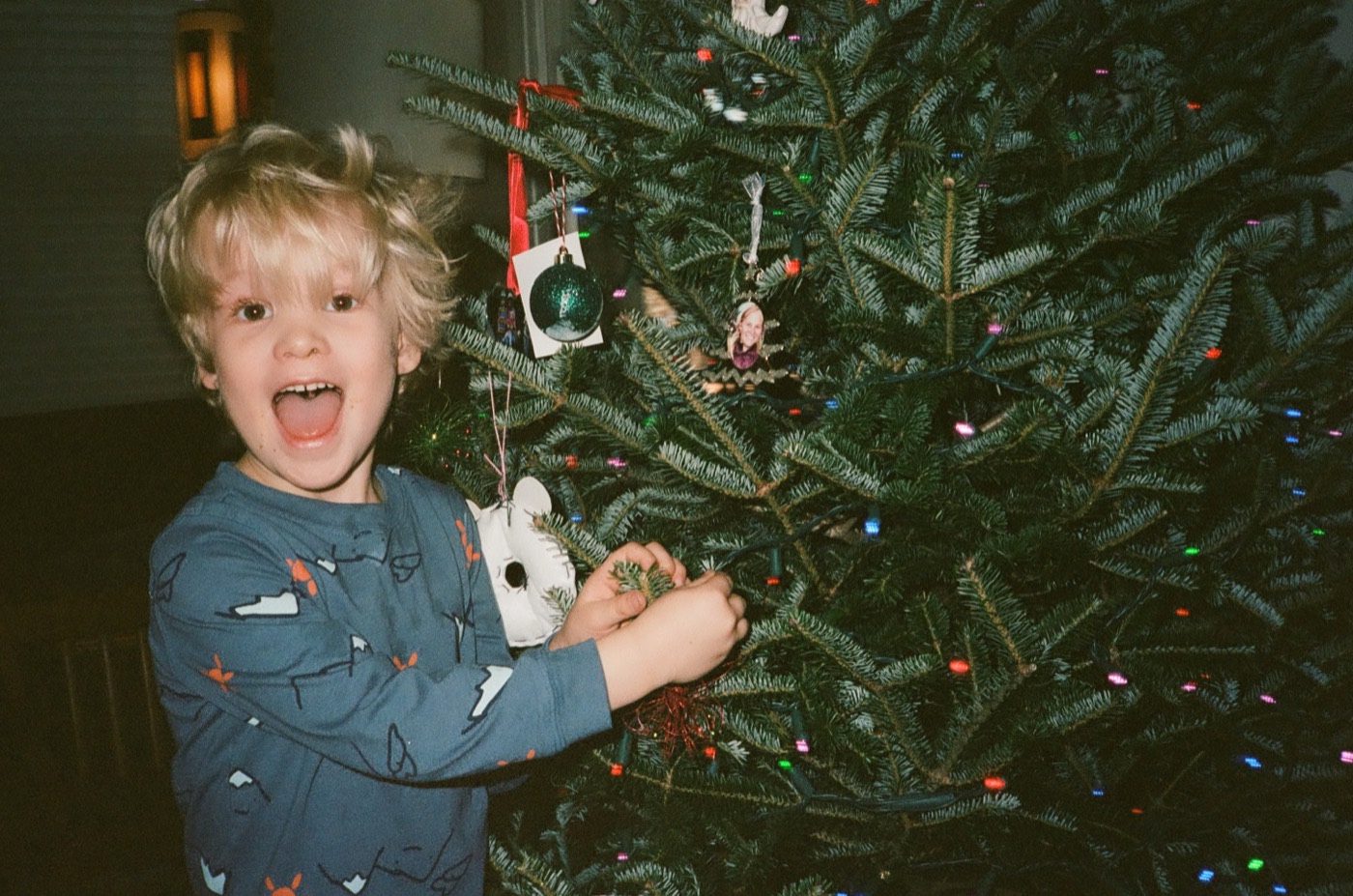 Bryce grinning wide-mouthed beside a lit Christmas tree